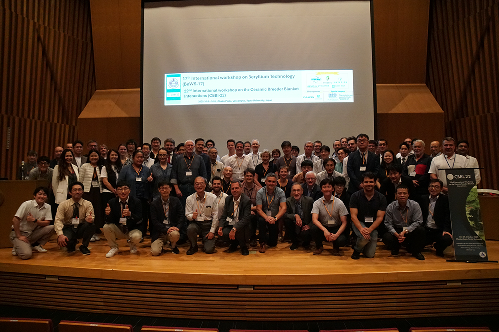 17th Berylliurn Workshop